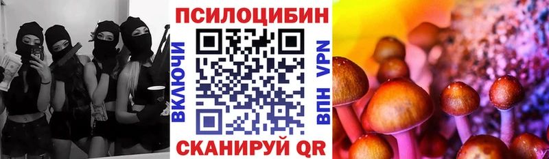 Псилоцибиновые грибы Psilocybine cubensis  Купить закладки  Инсар 